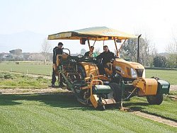 La zollatrice produce le strisce di “Prato a pronto effetto”